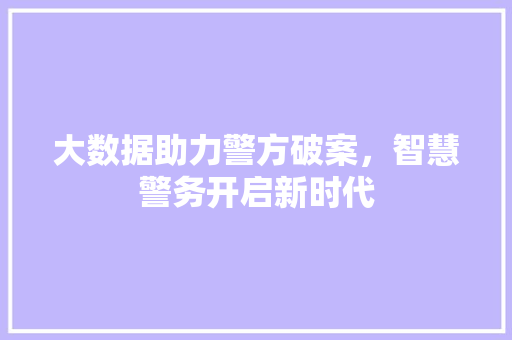 大数据助力警方破案，智慧警务开启新时代