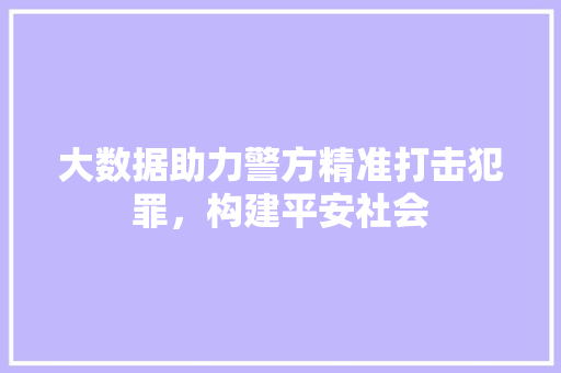 大数据助力警方精准打击犯罪，构建平安社会