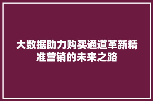 大数据助力购买通道革新精准营销的未来之路