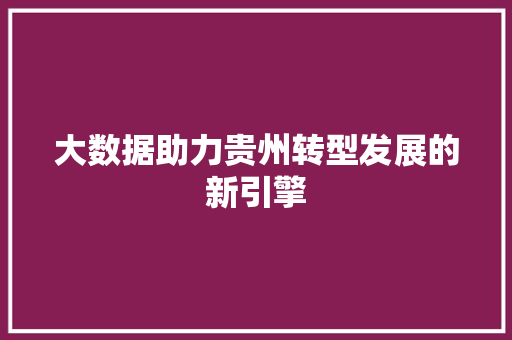 大数据助力贵州转型发展的新引擎
