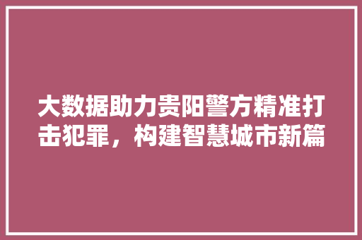大数据助力贵阳警方精准打击犯罪，构建智慧城市新篇章 服务器/数据库