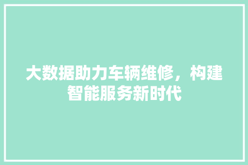 大数据助力车辆维修，构建智能服务新时代