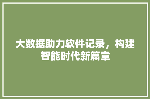大数据助力软件记录，构建智能时代新篇章