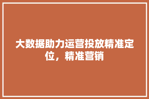 大数据助力运营投放精准定位，精准营销