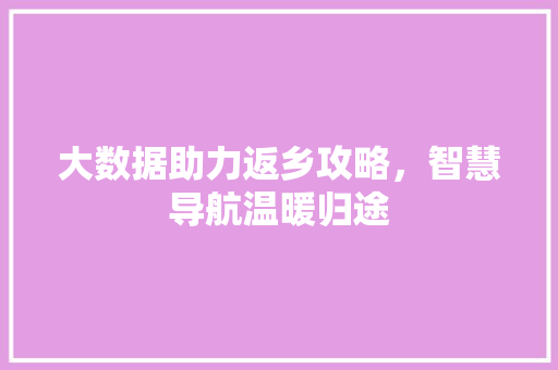 大数据助力返乡攻略，智慧导航温暖归途