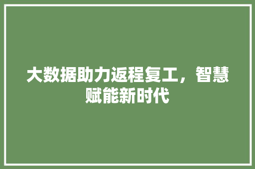 大数据助力返程复工，智慧赋能新时代