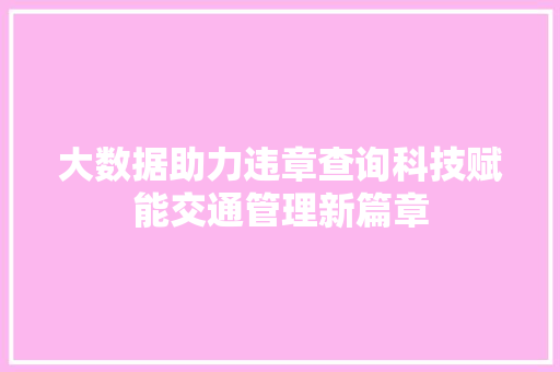 大数据助力违章查询科技赋能交通管理新篇章