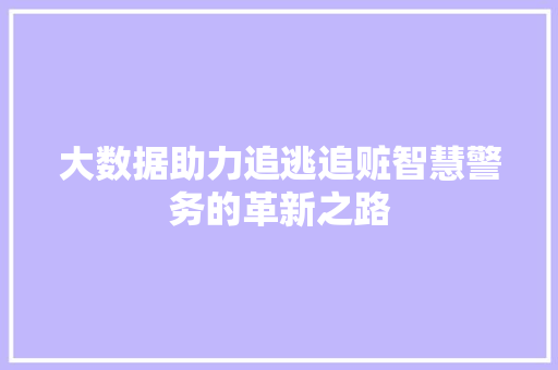 大数据助力追逃追赃智慧警务的革新之路