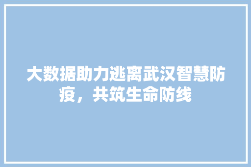 大数据助力逃离武汉智慧防疫，共筑生命防线