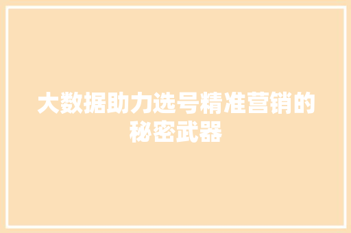 大数据助力选号精准营销的秘密武器 SEO教程