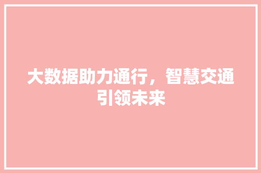 大数据助力通行，智慧交通引领未来