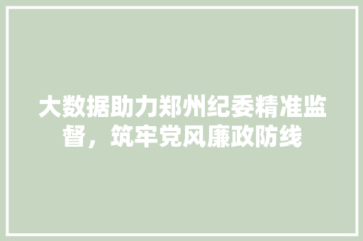 大数据助力郑州纪委精准监督，筑牢党风廉政防线