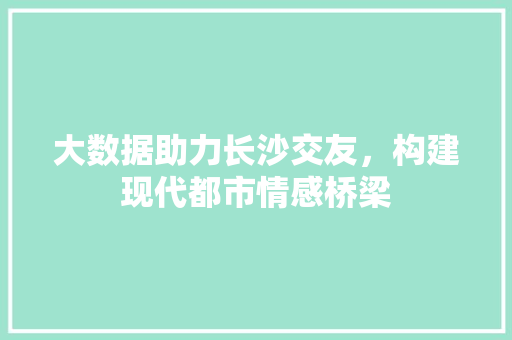 大数据助力长沙交友，构建现代都市情感桥梁 SEO教程