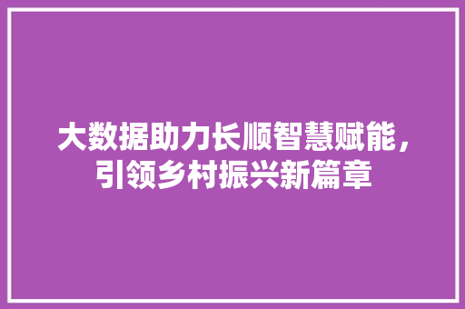 大数据助力长顺智慧赋能，引领乡村振兴新篇章