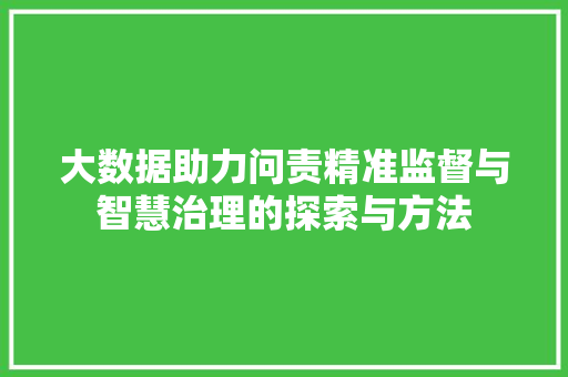 大数据助力问责精准监督与智慧治理的探索与方法 服务器/数据库