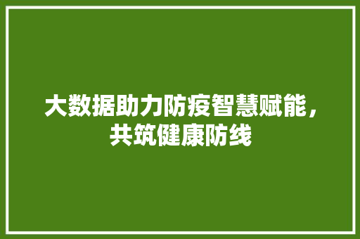 大数据助力防疫智慧赋能，共筑健康防线