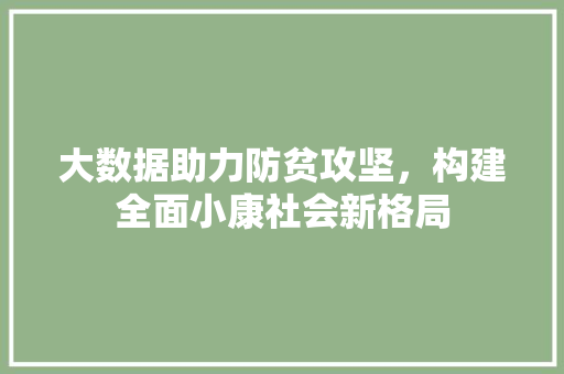 大数据助力防贫攻坚，构建全面小康社会新格局