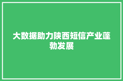 大数据助力陕西短信产业蓬勃发展