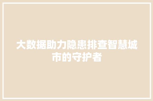 大数据助力隐患排查智慧城市的守护者 Web前端