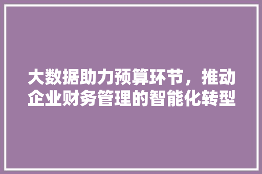 大数据助力预算环节，推动企业财务管理的智能化转型