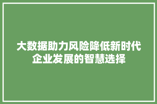 大数据助力风险降低新时代企业发展的智慧选择