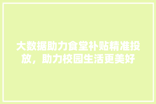 大数据助力食堂补贴精准投放，助力校园生活更美好 SEO教程