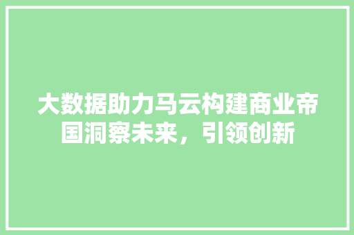 大数据助力马云构建商业帝国洞察未来，引领创新