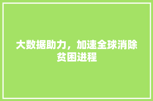 大数据助力，加速全球消除贫困进程