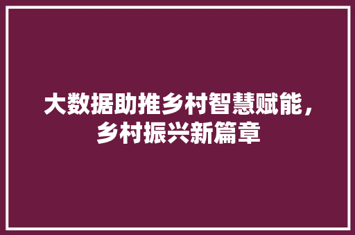 大数据助推乡村智慧赋能，乡村振兴新篇章