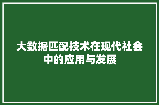 大数据匹配技术在现代社会中的应用与发展