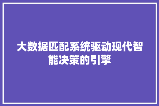 大数据匹配系统驱动现代智能决策的引擎
