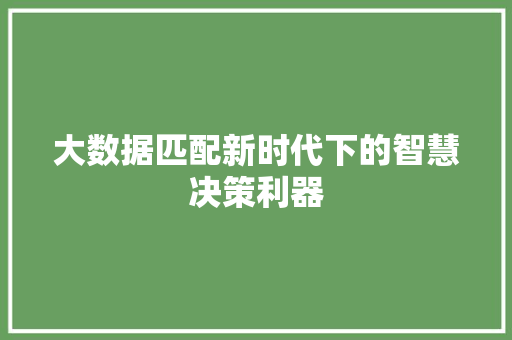 大数据匹配新时代下的智慧决策利器
