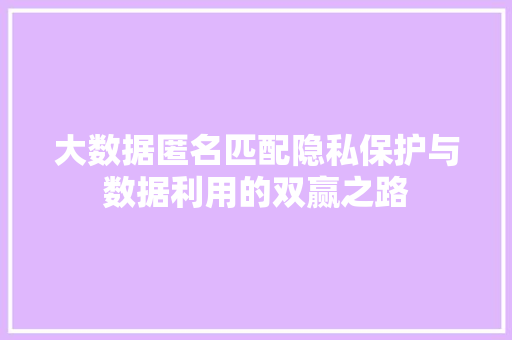 大数据匿名匹配隐私保护与数据利用的双赢之路