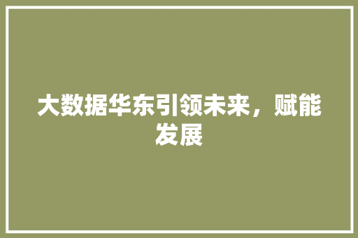 大数据华东引领未来，赋能发展 友链在线