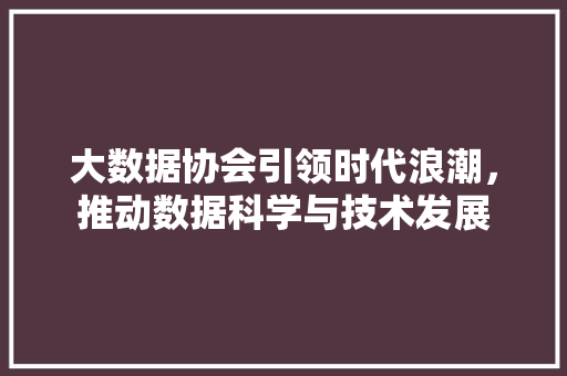 大数据协会引领时代浪潮，推动数据科学与技术发展 Web前端