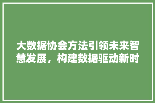 大数据协会方法引领未来智慧发展，构建数据驱动新时代