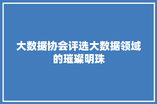大数据协会评选大数据领域的璀璨明珠