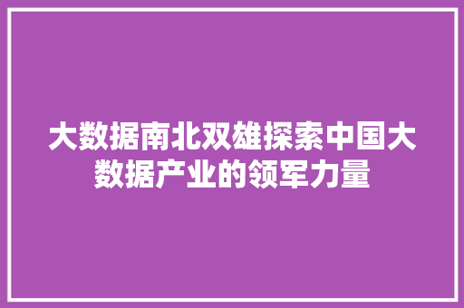 大数据南北双雄探索中国大数据产业的领军力量