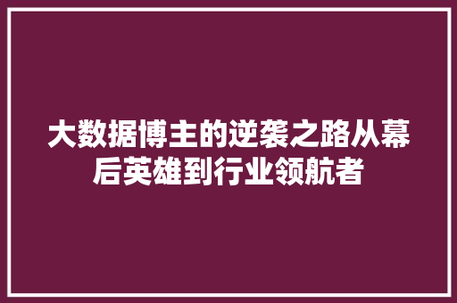 大数据博主的逆袭之路从幕后英雄到行业领航者