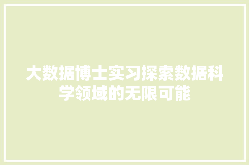 大数据博士实习探索数据科学领域的无限可能