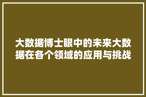 大数据博士眼中的未来大数据在各个领域的应用与挑战
