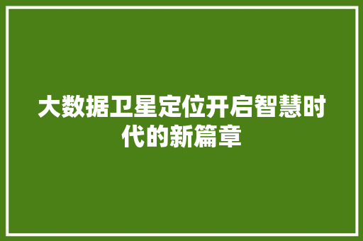 大数据卫星定位开启智慧时代的新篇章