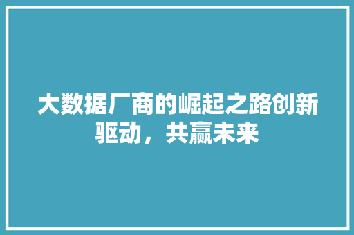 大数据厂商的崛起之路创新驱动，共赢未来
