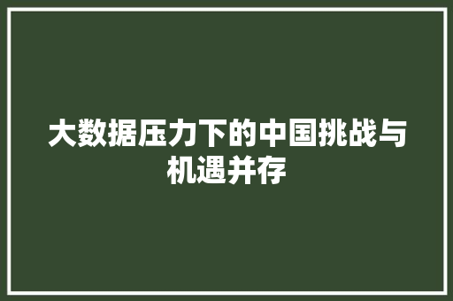 大数据压力下的中国挑战与机遇并存