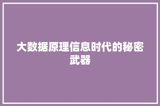大数据原理信息时代的秘密武器