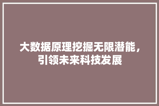 大数据原理挖掘无限潜能，引领未来科技发展