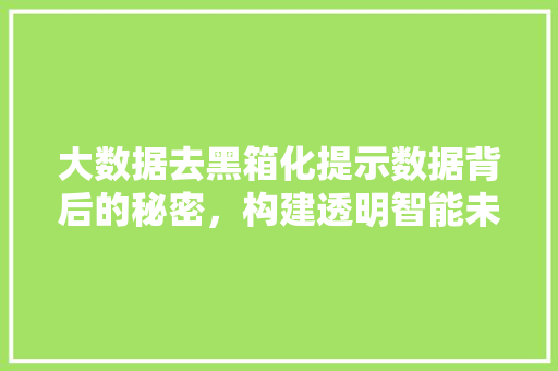 大数据去黑箱化提示数据背后的秘密，构建透明智能未来