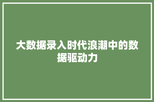 大数据录入时代浪潮中的数据驱动力