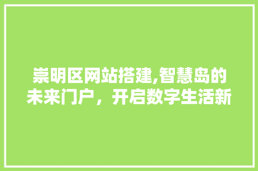 崇明区网站搭建,智慧岛的未来门户，开启数字生活新篇章