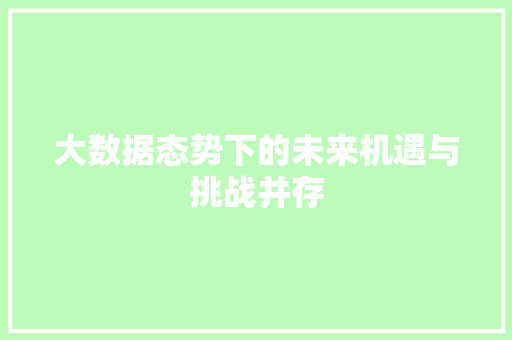 大数据态势下的未来机遇与挑战并存